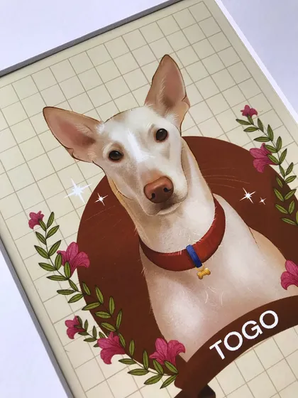 A detailed close-up of the framed portrait of Togo. The print quality is sharp, ensuring every detail of the digital illustration is perfectly rendered.