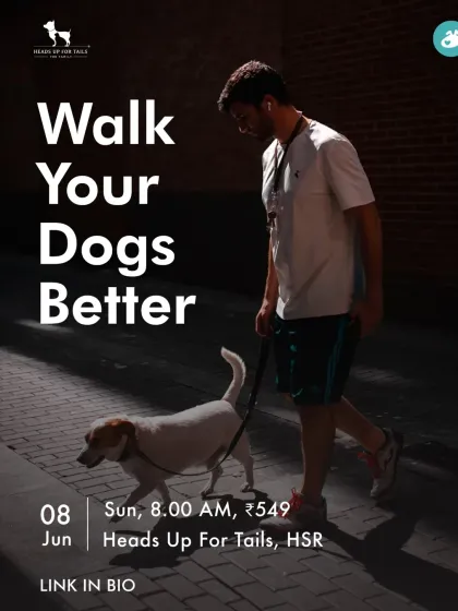 Our 'Walk Your Dogs Better' workshop is one of our most popular in-person events in Bangalore. This is where we provide hands-on coaching to help you and your dog master loose-leash walking and enjoy more peaceful, connected strolls together.