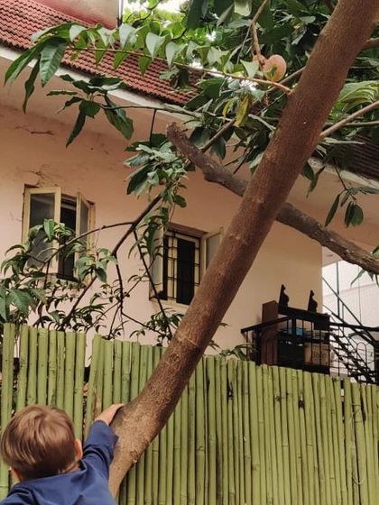 The Earth School - Nature & Community Engagement Programs Moments of Discovery photo 6