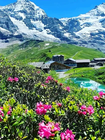 The Swiss Alps are a powerful teacher. The snow-capped peaks, vibrant meadows, and clear lakes remind us of nature's immense strength and beauty. I choose locations like this to help you feel grounded, expansive, and deeply connected to the earth.