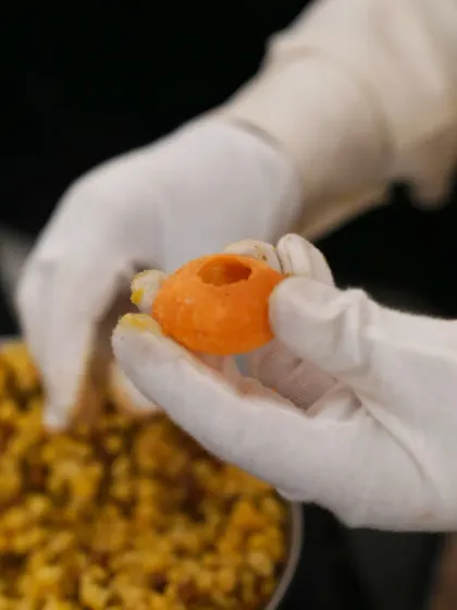 Modern Indian & Fusion Chaats photo 12