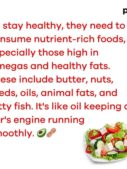 An informational carousel for people who can eat a lot without gaining weight. It explains that even with a high metabolism, they need nutrient-rich foods, especially healthy fats, and are often sensitive to substances like alcohol and sugar.
