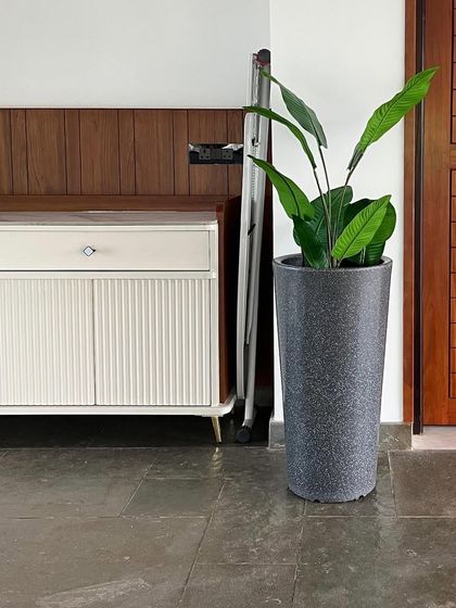 This artificial Bird of Paradise plant in a grey stone-finish planter adds a tropical feel to this home entrance without any need for watering or sunlight.