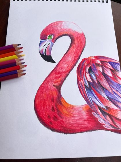 Close-up shots of a beautifully rendered flamingo, created with color pencils to showcase vibrant colors and fine details.