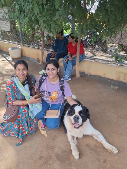 Two friends enjoying a relaxed moment, petting the St. Bernard under the shade of a tree.