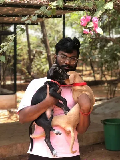 A volunteer from HAS Coimbatore holds two puppies who have just been adopted. Our partnership with local shelters is key to creating these success stories.