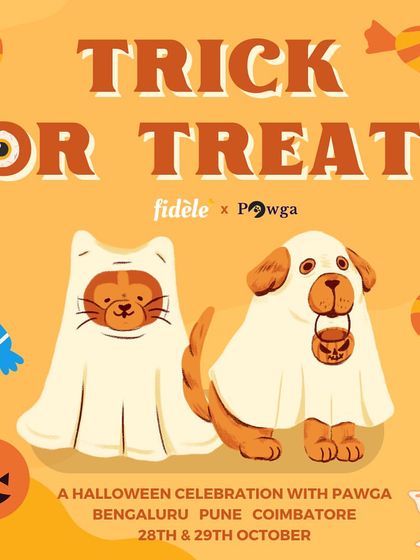 An announcement poster for our Trick or Treat Halloween celebration with Fidele in Bengaluru, Pune, and Coimbatore.