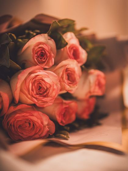 Festive & Seasonal Campaigns photo 42