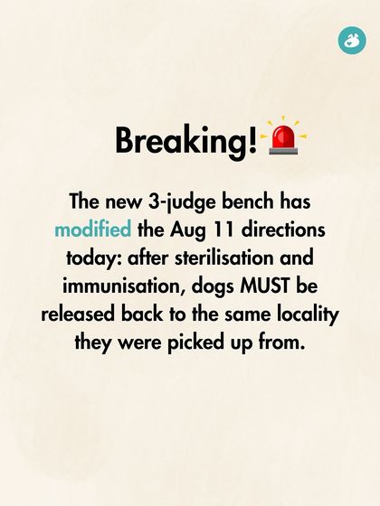 The Pack - Pet Parent Education & Workshops Awaara Nahi, Humara Hai: Community Dog Advocacy photo 18