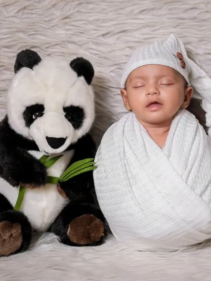 A perfectly swaddled newborn poses next to a fluffy panda toy. The simple black and white elements create a clean and adorable composition.