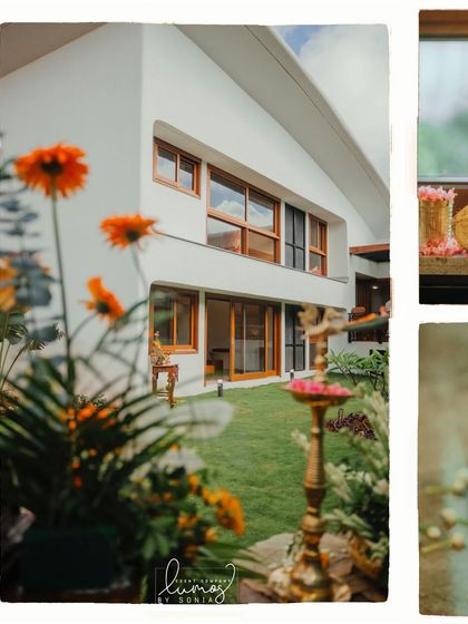 A collage showcasing the beautiful and unconventional housewarming decor, blending nature and creativity.