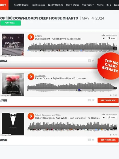 It's an amazing feeling to see my track 'Father Ocean X Tujhe Bhula Diya' break into the Hypeddit Top 100 Deep House charts worldwide. This recognition shows the global appeal of blending Indian sounds with house music.