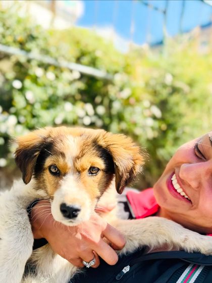 Another furry friend I met on my travels. The trusting look in this puppy's eyes is a powerful motivator for my animal advocacy work.