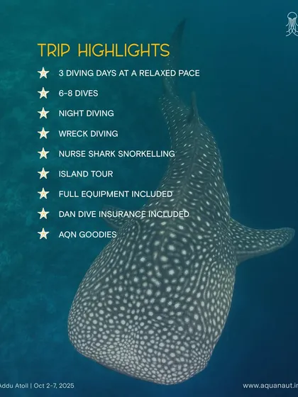 The trip highlights for our Addu Atoll expedition, including wreck diving, night diving, and nurse shark snorkeling.