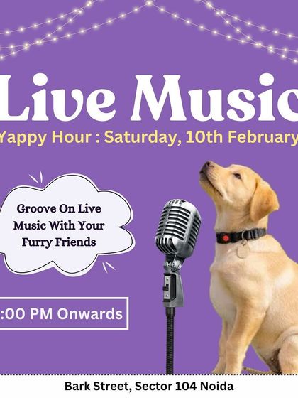 Groove on live music with your furry friends! Another one of our popular Saturday night events.