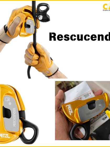 Charlie's Animal Rescue Centre - Animal Rescue & Adoption Our Voice: Advocacy & Awareness photo 9