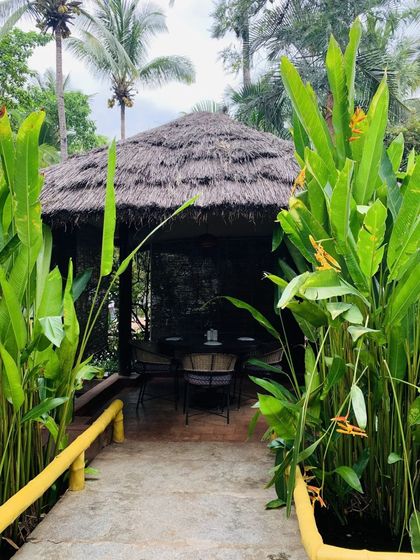 A private gazebo with a thatched roof, hidden away by tall, vibrant green plants. This is one of the many secluded spots perfect for quiet conversations.