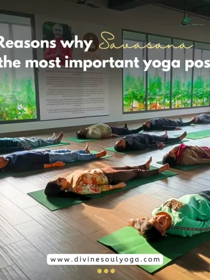 Savasana, or Corpse Pose, is often called the most important pose in yoga. This image shows a group resting in Savasana, a practice of conscious relaxation that allows the body to integrate the benefits of the session.