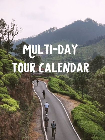 Our multi-day tour calendar features epic journeys through tea plantations and mountain roads. This shot from the Nilgiris shows a group enjoying a winding descent, a typical scene from our curated mountain adventures.