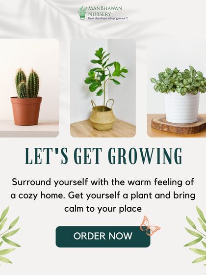 Let's get growing. Surround yourself with the warm feeling of a cozy home by getting yourself a plant. We have a bountiful selection starting at just ₹39.