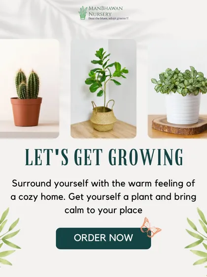 Let's get growing. Surround yourself with the warm feeling of a cozy home by getting yourself a plant. We have a bountiful selection starting at just ₹39.