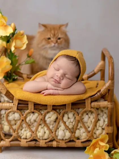 A furry friend joins the photoshoot! This little cat was so curious about our sleeping newborn in the yellow-themed setup.