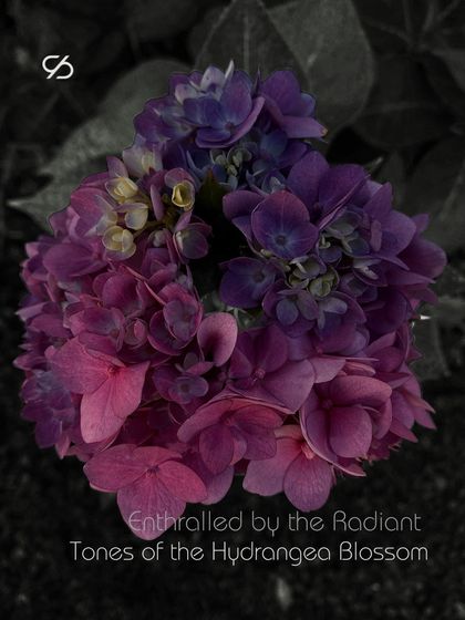 Sudha Reddy - Custom Occasion Wear The Art of Couture: Behind the Seams photo 64