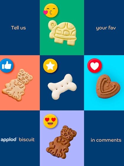 Zigly - Pet Supplies Our Exclusive Products photo 5