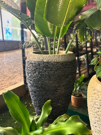 My black stacked stone planter, which received so much love I had to feature it. The texture is perfect for adding a touch of rustic modernity.