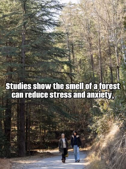 The Kumaon Sanctuary: Slow & Easy Vacations photo 22