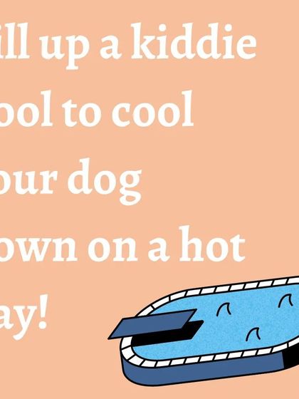 A simple tip for a hot day: fill up a kiddie pool! It provides hours of fun and is a great way for your dog to cool down.