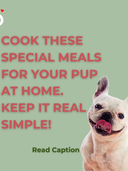 Hungry Eyes - Freshly Cooked Dog Meals Special Diets & Formulations photo 8