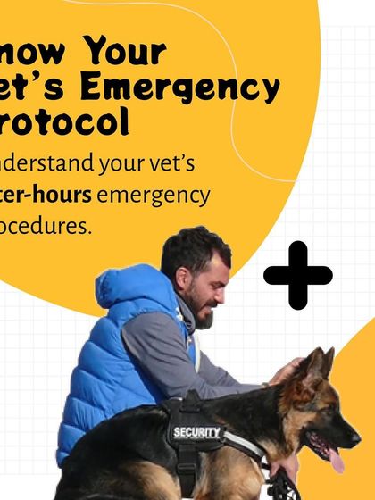 Pethowz - Pet Parent Education Emergency Preparedness for Pet Owners photo 10