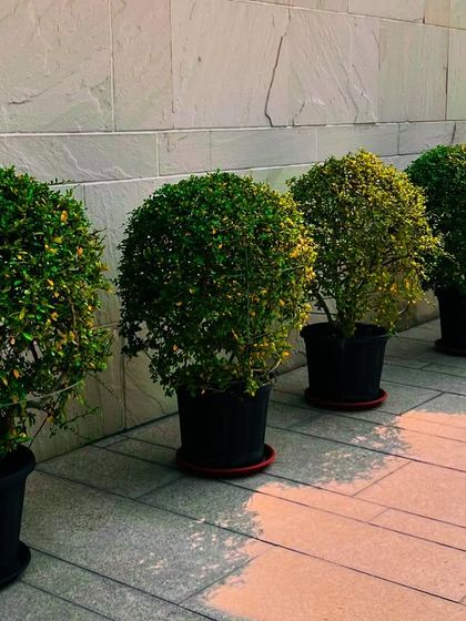 Luxury Villa & Farmhouse Estates photo 39