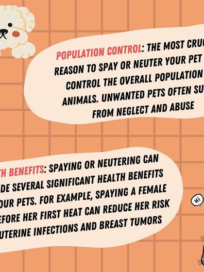 Furever Safe - Pet Training Pet Parent Knowledge Hub photo 6