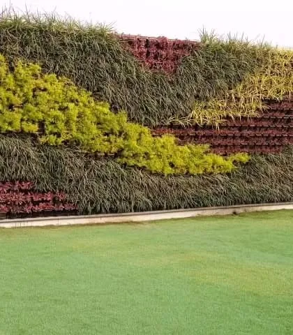 Another perspective of the same vertical garden, highlighting the vibrant chartreuse and deep green foliage that forms a beautiful, natural pattern.