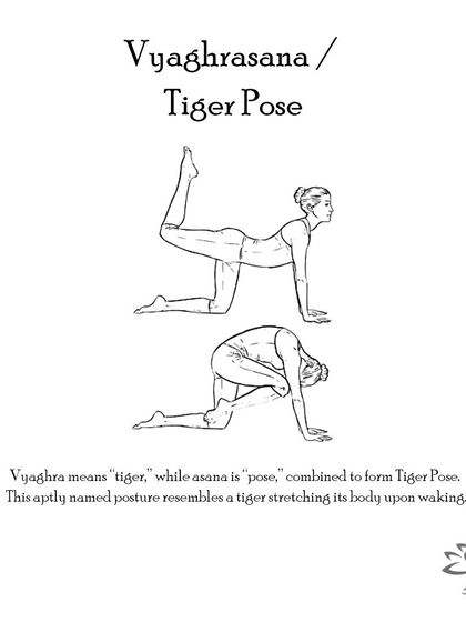 Anagha Yoga - Therapeutic Yoga Yoga Foundations: Asana Library photo 89