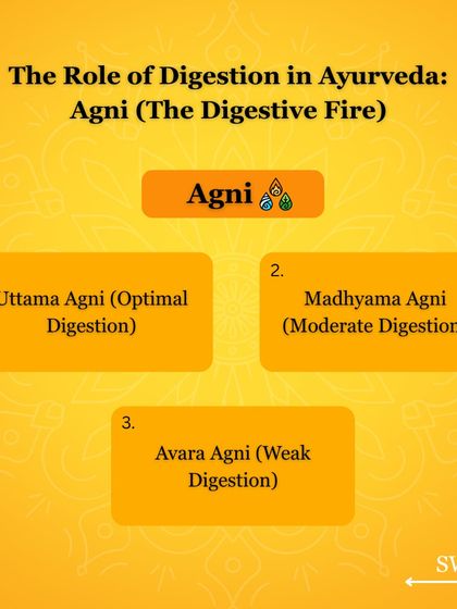 In Ayurveda, your digestive health is managed by 'Agni', your digestive fire. The strength of your Agni determines how well you convert food into energy. I classify Agni into three types: optimal, moderate, and weak.