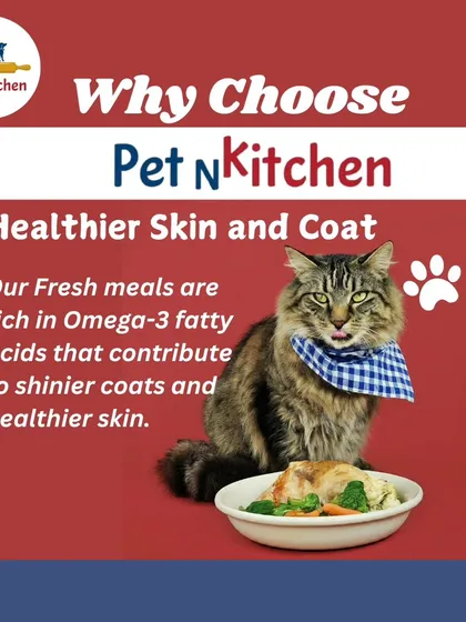A healthy outside starts from the inside. This graphic with a well-groomed cat explains how my fresh meals, rich in Omega-3 fatty acids, contribute to healthier skin and a noticeably shinier coat.