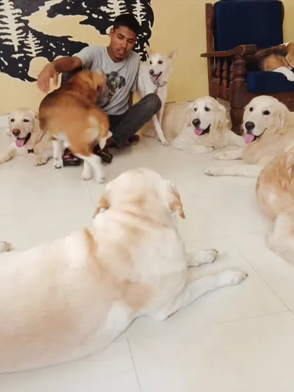 Another angle of our staff member surrounded by a sea of happy dogs.