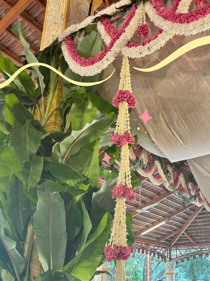 Vaishnavi Patel - Custom Photo & Video Art Saree Love & Festive Doodles photo 15