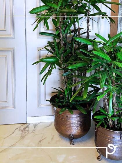 Indoor & Commercial Green Spaces photo 13