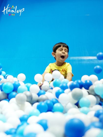 Slides & Ball Pits of Fun photo 3