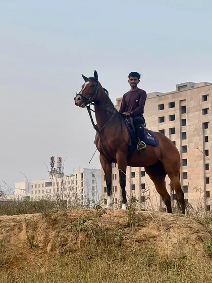 A rider takes in the view from one of our scenic trails. Beyond the arena, we offer rides through natural landscapes, providing a different kind of equestrian experience.