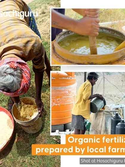 Our organic fertilizers are prepared in-house by local farmers. Using ingredients like cow dung and other natural materials, we create potent mixtures that enhance soil and plant health without chemicals.