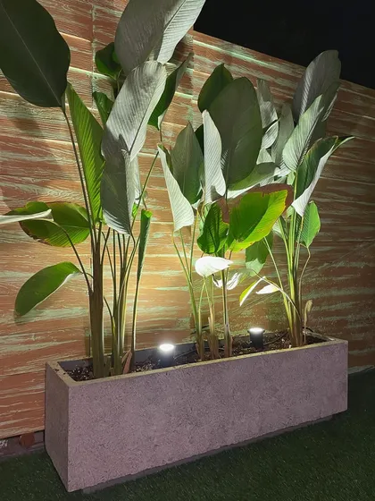 A closer look at how our rectangular planters create a seamless wall of green. The clean lines of the concrete contrast beautifully with the organic shapes of the plants, especially when lit at night.