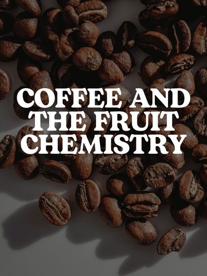 A graphic titled "Coffee and the Fruit Chemistry," inviting you to explore the fruity side of coffee.