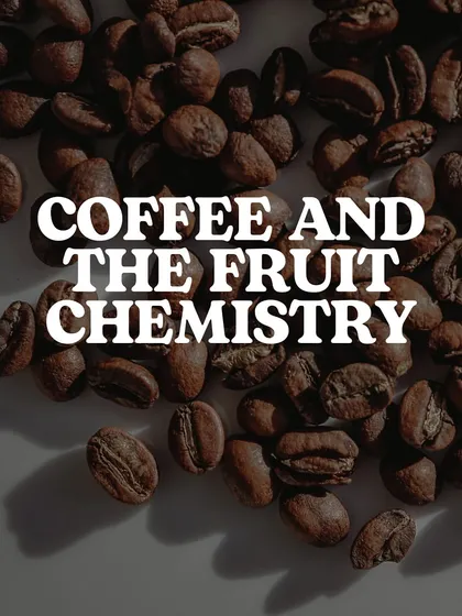 A graphic titled "Coffee and the Fruit Chemistry," inviting you to explore the fruity side of coffee.