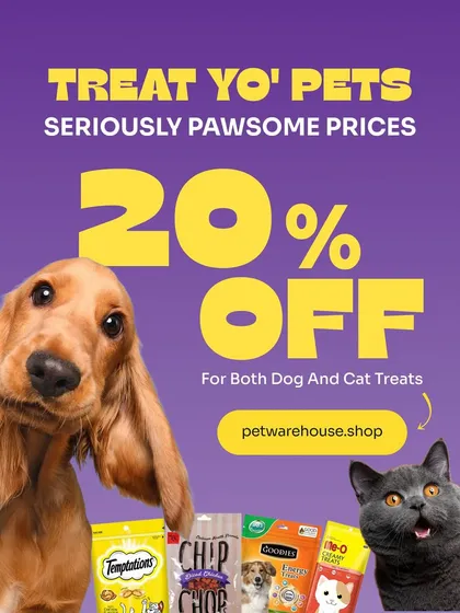 Treat your best friend without breaking the bank. We're offering a fantastic 20% discount on our entire range of delicious and healthy dog and cat treats. It's the perfect way to show them some love.