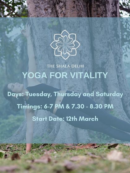 Announcing our "Yoga for Vitality" sessions. These classes are designed to help you recharge, get your energy back, and reconnect.